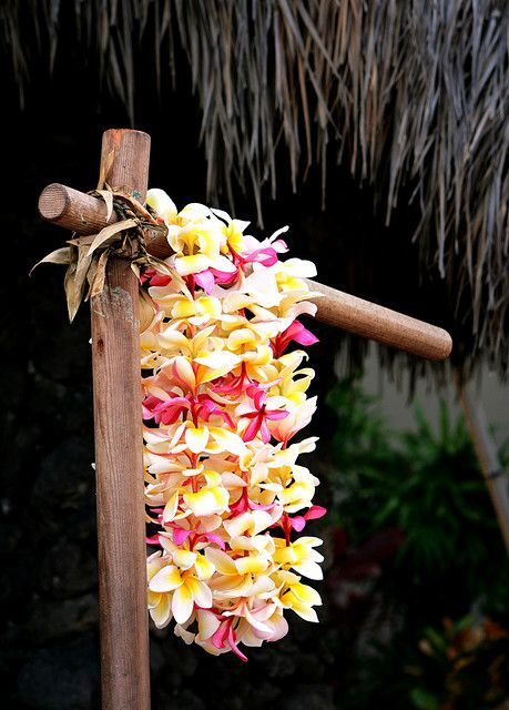 ~ ALOHA ~photo taken April 16, 2009 using a Canon EOS 400D Digital. By pitchoun8 Hawaiian Leis, Party Fotos, Hawaiian Lei, Sticky Fingers, Aloha Hawaii, Festa Party, Hawaiian Luau, Spa Party, Luau Party