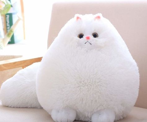 A ridiculously fluffy cat that can easily be mistaken as a marshmallow or a bed of clouds. "IT'S SO FLUFFY!" Stuffed Cat, Cat Plush Toy, Stuffed Animal Cat, Soft Stuffed Animals, Teddy Bear Stuffed Animal, Kids Toy Gifts, Cat Pillow, Cat Plush, Fluffy Cat