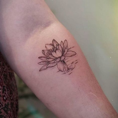 30 Best Water Lily Tattoo Ideas  25 Red Lotus Tattoo, Lily Tattoo Ideas, Lilly Flower Tattoo, Lily Tattoo Designs, Lily Tattoo Meaning, Water Lily Tattoo, Water Lily Tattoos, Lillies Tattoo, Lily Tattoo Design