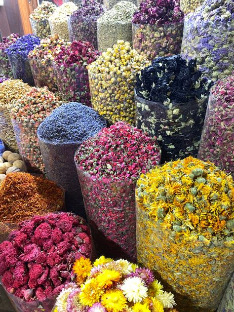 Photos Flowers, Human Art, Flower Photos, Iran, Dried Flowers, Poetry, Paintings, Human, Flowers