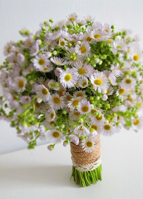 Aster Flower, Daisy Wedding, Summer Bouquet, Floral Event Design, Fall Wedding Flowers, Trendy Flowers, White Bouquet, Bride Bouquets, Arte Floral