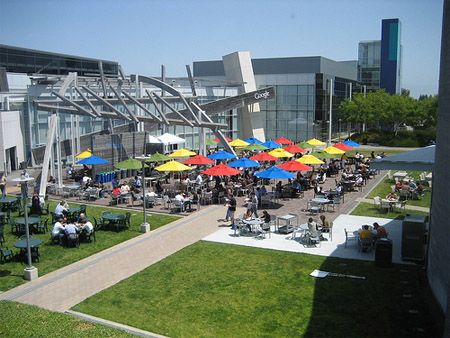 Great outdoor area at the Google #offices Google Office, California Mountain, Mountain View California, Santa Cruz Mountains, Water Animals, Workspace Design, Silicon Valley, Outdoor Area, Mountain View