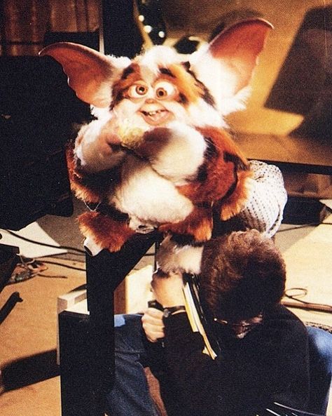 TJ Gremlins Guy on Instagram: “Behind the scenes of #gremlins2thenewbatch with the oversized Daffy puppet used for close-up face shots in a number of scenes. This shot…” Gremlins Stripe, The Gremlins, Close Up Faces, Movie Monsters, Gremlins, Puppets, Behind The Scenes, Close Up, Tv