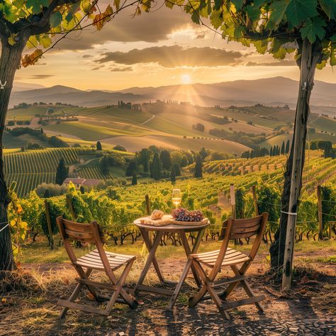 Tuscany Italy Landscape, Villa In Tuscany, Tuscany Italy Aesthetic, Italy Scenery, Tuscany Italy Countryside, Wine Yard, Tuscany Aesthetic, Tuscany Garden, Italian Winery