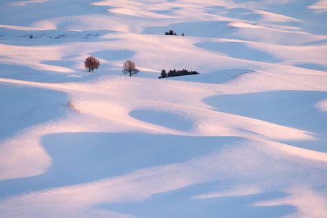 Snowy Palouse Hills...  as seen from Steptoe Butte, taken with very frozen fingers... Snowy Hills, Contemporary Novels, Dusk Till Dawn, Car Interior, Art Boards, Washington, Frozen, Acrylic Painting, Wonder