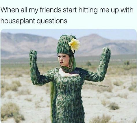 Twenty-Nine Plant Memes For Lovers Of Botany - Memebase - Funny Memes Plant Jokes, Gardening Memes, Gardening Humor, Garden Quotes, Funniest Memes, Star Wars Memes, Plant Mom, Plant Lady, For Lovers