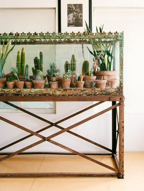 Big Indoor Plants, Bohemian Chic Home, Justina Blakeney, Diy Casa, Indoor Gardens, House Plants Decor, Cactus Y Suculentas, Succulents Garden, Indoor Garden