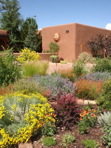 Desert Landscape Design, High Desert Landscaping, Desert Backyard, Taman Air, Low Water Gardening, Drought Tolerant Garden, Drought Tolerant Landscape, Home Yard, Dry Garden