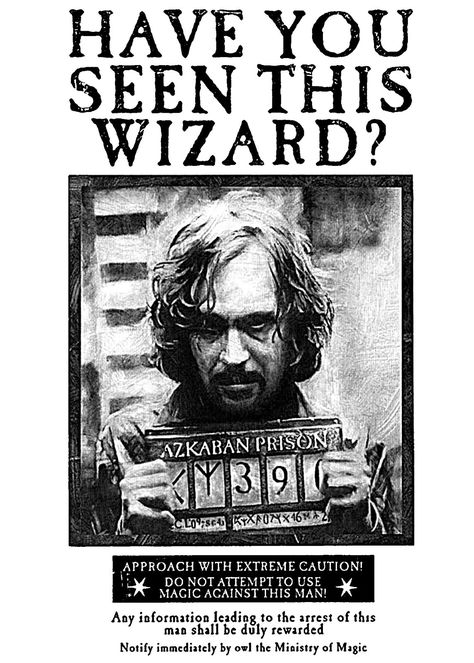 Sirius_Black_Wanted_Poster Harry Potter Wanted Poster, Photo Harry Potter, Poster Harry Potter, Harry Potter Sirius, Imprimibles Harry Potter, Wanted Movie, Harry Potter Printables, Tapeta Harry Potter, Harry Potter Bedroom