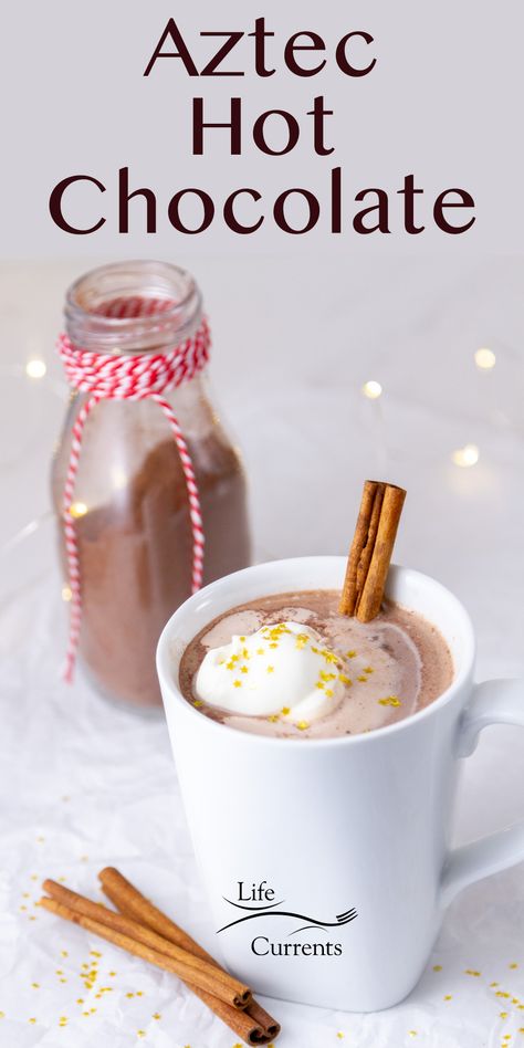 Aztec Hot Chocolate Recipes, Aztec Hot Chocolate, Spiced Hot Chocolate Recipe, Nonalcoholic Drink, Hot Cocoa Mix Recipe, Mocha Frosting, Soda Bar, Chocolate Chili, Best Chocolate Desserts