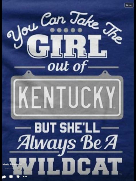 Kentucky Quotes, Kentucky Wildcats Basketball Wallpaper, Kentucky Girls, Kentucky Wildcats Logo, University Of Ky, Kentucky University, Wildcats Logo, Kentucky Wildcats Basketball, Wildcats Football