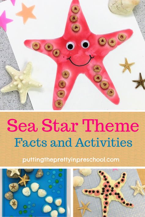 Starfish Craft For Kids, Starfish Activity, Starfish Activities, Small World Activities, Star Activities, Fish Crafts Preschool, Wolf Facts, Starfish Craft, Ocean Theme Preschool