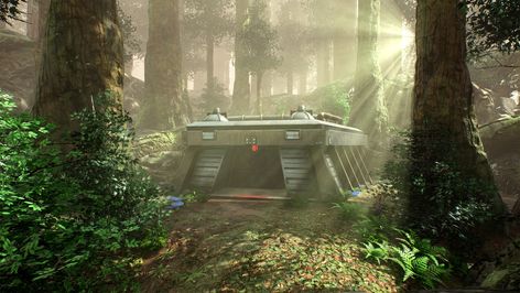 Star Wars Endor Aesthetic, Endor Star Wars Aesthetic, Star Wars Planets Aesthetic, Starwars Planets, Star Wars Forest, Endor Star Wars, Endor Forest, Star Wars Landscapes, Leopard Gecko Enclosure