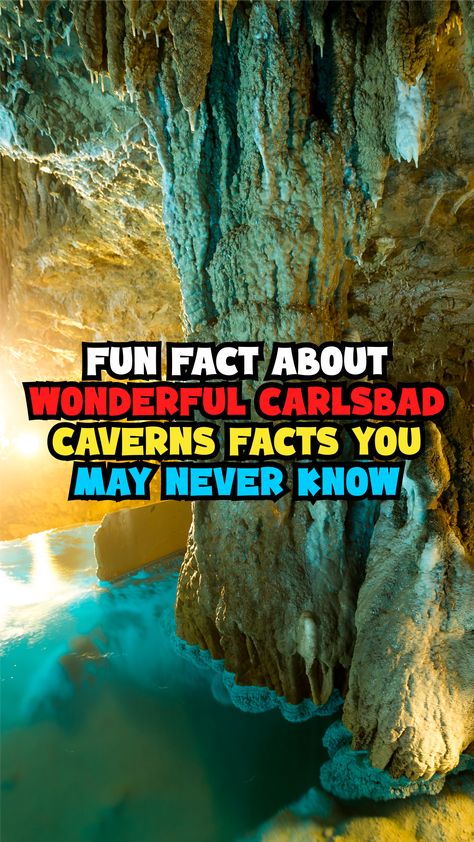 Formed over a million years ago, Carlsbad Caverns is one of the most impressive caves in the world. You can discover its beauty while taking in a ranger-guided tour or by exploring on your own. In this article, we will reveal amazing Carlsbad Caverns facts you should know before visiting this wonderful place. Let’s check this out! #awesomefacts #awesomefactsunbelievable #awesomefactsmindblowing #awesomefactsforkids #doyouknowfactsawesome #unbelievablefactsmindblowingawesome Underground Pool, Travel New Mexico, Limestone Caves, Carlsbad Caverns National Park, Guadalupe Mountains, Carlsbad Caverns, Water Table, National Park Service, Wonderful Places