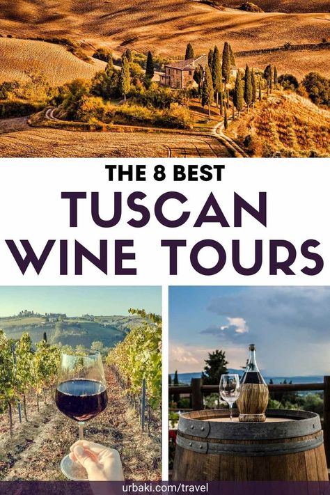 Florence Italy Wine Tours, Best Wine Tours In Tuscany, Tuscany Italy Wineries, Florence Wine Tour, Best Wineries In Tuscany, Florence Countryside, Tuscany Winery, Tuscany Wineries, Tuscany Wine Tour