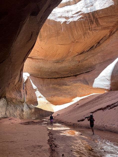 Cathedral in the Desert – Glen Canyon Institute Glen Canyon Dam, Glen Canyon, Utah Road Trip, Desert Dream, Lake Powell, Southern Utah, Arizona Travel, Beautiful Places On Earth, Colorado River