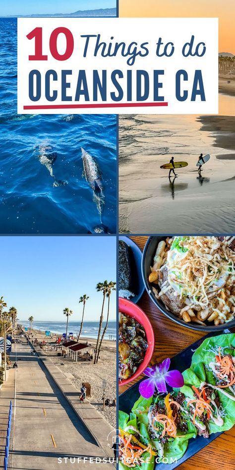 Contains 4 images including dolphins swimming, 2 people walking on the beach carrying surfboards, a road along the beach, and delicious healthy food. California Beach Vacation, California Places To Visit, California With Kids, Oceanside Pier, Oceanside Beach, Popular Things, Vacation 2023, San Diego Vacation, Activities For All Ages