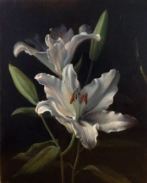 Lily Aesthetic, Art In Black And White, Study Art, Lily Painting, White Lily, Flower Paintings, Flower Therapy, Black And White Painting, White Lilies