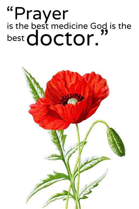 “#Prayer is the best #medicine ...#God is the best #doctor.” God Is The Best Doctor Quotes, Best Doctor Quotes, Doctor Quotes, Good Doctor, God Is, Fun To Be One, Medicine, The First, Good Things