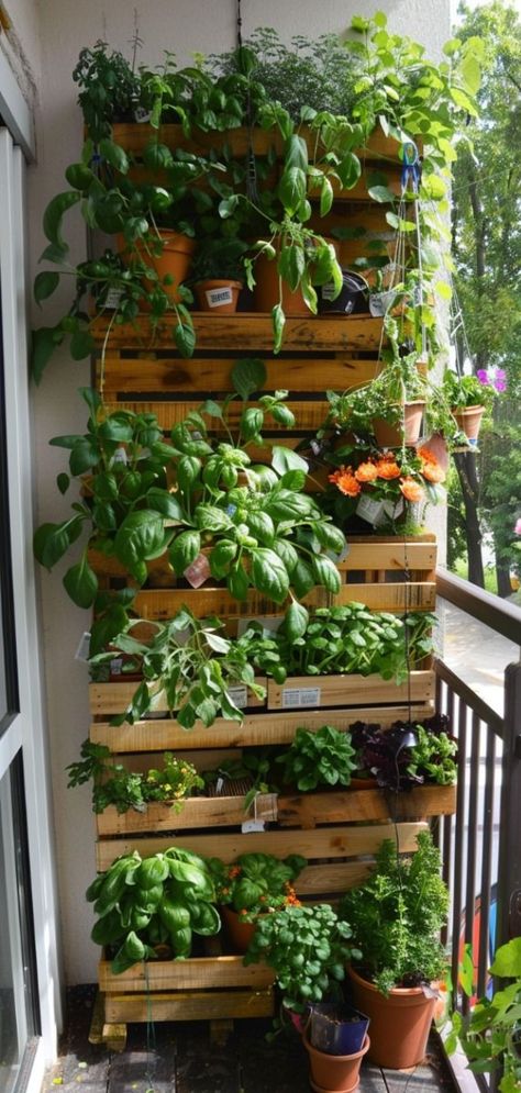 Creative Home Gardening Ideas for Every Space!! #gardeningtips #homegardening #urbangarden #plantcare #growyourown #gardeninginspiration #sustainableliving #pottedplants #gardenlife #vegetablegarden #homeandgarden #gardenplanning #gardendecor Herb Garden Patio Ideas, Herb Room Ideas, Balcony Garden Inspiration, Space Saving Garden Ideas, Indoor Garden Ideas Apartments, Herb Garden Aesthetic, Balcony Vegetable Garden Ideas, Herbs Balcony, Balcony Plants Ideas