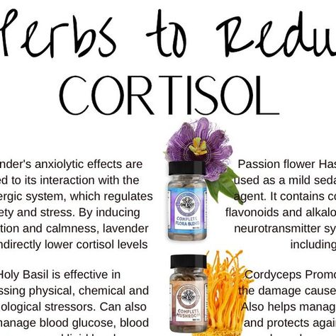 One Root | Supplements | Wellness on Instagram: "🌿 What is cortisol? It’s known as the “stress hormone,” and when levels are too high for too long, it can take a toll on your health—affecting everything from mood to immune function. But don’t worry, nature has your back! 🌱  These 8 powerful herbs can naturally help reduce cortisol levels. Whether it’s lavender for relaxation, ashwagandha for resilience, or chamomile to calm the mind, there’s a herb for every stress-buster! 🌸  💚 Start adding these to your daily routine and feel the difference. Oh! Tag a friend who needs to see this!  #HerbalRemedies #StressRelief #NaturalHealing #CortisolReduction #WellnessJourney #HealthyLiving #PlantPower #AnxietyRelief #HolisticHealth #NatureCures #onerootstore #adaptogens" Cortisol Reduction, Reduce Cortisol Levels, Reduce Cortisol, Lower Cortisol Levels, Reducing Cortisol Levels, Holy Basil, Cortisol Levels, Self Love Affirmations, Natural Health Remedies