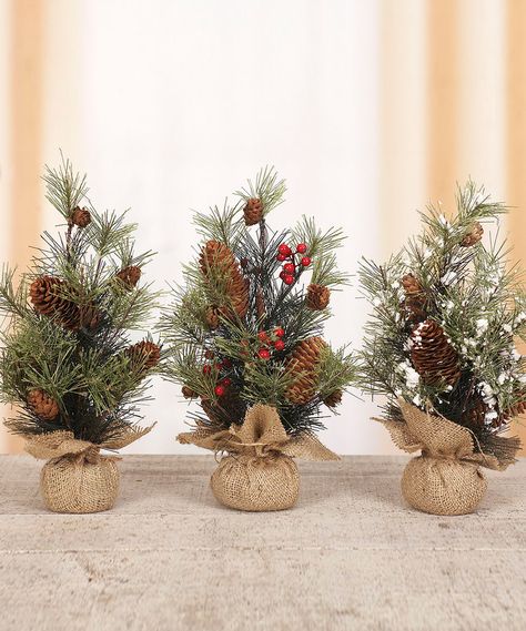 Mini Pine Tree for Christmas {affiliate link} Mini Tree Centerpiece, Tree Centerpiece, Ninja Turtles Birthday Party, Work Holiday Party, Centerpiece Christmas, Tree Centerpieces, Mini Tree, Ninja Turtle Birthday, Pine Table