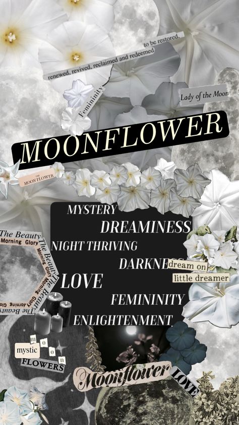 #moonflower #moon #aesthetic #moonaesthetic #moonlover #flower #thatgirlaesthetic Moonflower Aesthetic, Moon Child Aesthetic, Little Mermaid Wallpaper, Mermaid Wallpaper, Sea Nymph, Mermaid Wallpapers, Moon Aesthetic, Dead Poets Society, Moon Lovers