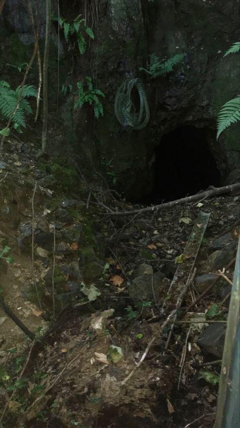 Cave House Aesthetic, Lawrence Oleander Aesthetic, Cave Aesthetic Dark, Scary Jungle, White Serpent, Scary Aesthetic, Lawrence Oleander, Dark Holes, Forest Village