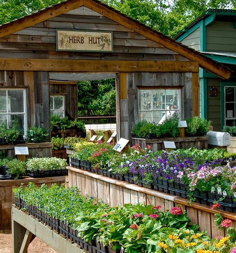 At Home Plant Nursery, Nursery Plants Greenhouses, Garden Events Place, Plant Nursery Ideas Greenhouses, Plant Nursery Design, Plant Nursery Aesthetic, Garden Center Ideas, Plant Nursery Ideas, Plant Shop Ideas