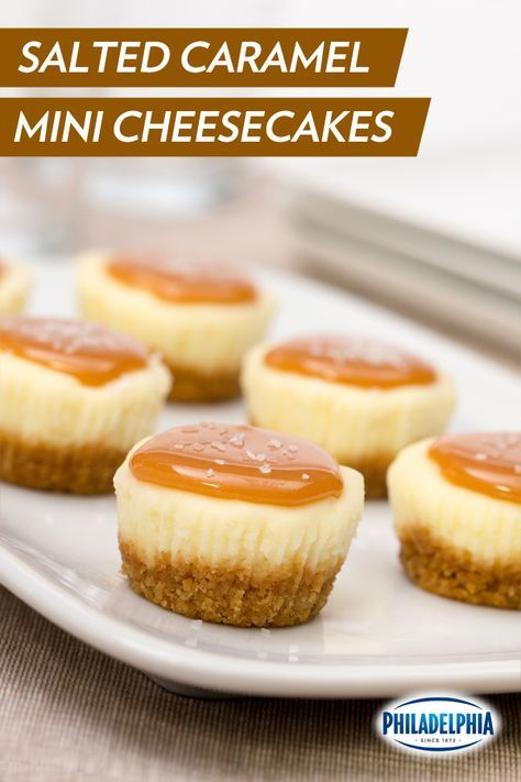 Cheesecake Minis, Caramel Cheesecake Recipes, Biscotti Cheesecake, Mini Dessert Recipes, Salted Caramel Cheesecake, Caramel Cheesecake, Small Desserts, Cheesecake Bites, Kraft Recipes