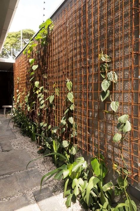 52 Fence Border Landscaping Ideas to Beautify Your Yard Wall Fence Design, Garden Wall Fence, Building A Garden, Fence Backyard, Wall Building, Garden Wall Designs, Wall Fence, Fence Wall, Backyard Fence