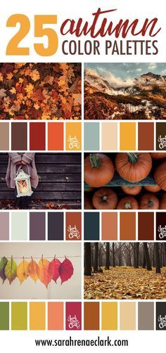 Color Pallets Inspiration For Home, Fall Cookie Color Palette, Autumn Decor Color Palette, Orange Wood Color Palette, Fall Palette Colour Schemes, Fall Color Palette Home, Fall Color Bedroom Ideas, Fall Decor Color Schemes, Fall Color Pallettes