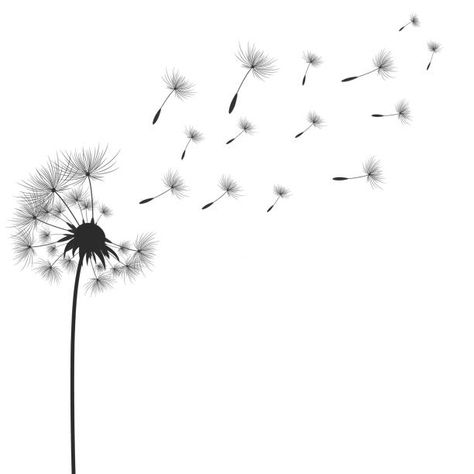 24,443 Blowing Dandelion Tattoo Stock Photos, Pictures & Royalty-Free Images - iStock Dandilines Flower Drawing, Wish Drawing, Blowing Dandelion Tattoo, Dandelion Blowing In The Wind, Wind Drawing, Dandelion Drawing, Blowing Dandelion, Silhouette Sketch, Dandelion Tattoo