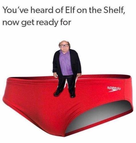 Devito on a Speedo. Pretty clever. 😂 Danny Devito, Funny Animal Memes, Buy Buy, Funny Pins, On The Shelf, Funny Laugh, Best Memes, Funny Posts, Elf On The Shelf