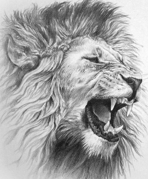 Roaring Lion Tattoo, Lion Chest Tattoo, Teenage Drawings, Pixel Tattoo, Lion Sketch, Tier Tattoo, Mens Lion Tattoo, Lion Head Tattoos, Female Tattoos