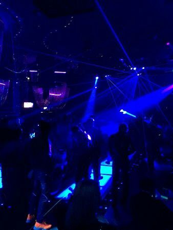 ♡ Cavalli night club Dubai ♡ Dubai Night Club, Dubai Club, Vi Keeland, Night Club Aesthetic, Nightclub Aesthetic, Clubbing Aesthetic, United Arab Emirates, Night Club, Dubai