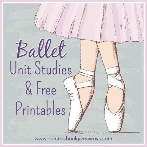 dance studio owner, dance studio, dance classes, business of dance, studio owner, dance, teaching dance, ballet, lesson plans, dance teacher Art Studio Ideas, Teaching Dance, Planning School, Studio Dance, Ballet Positions, Dance Studio Owner, Ballet Lessons, Teach Dance, Dance Camp