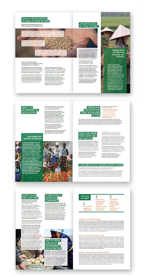 Research Paper Layout Design, Sustainability Graphic Design, Paper Layout Design, Textbook Design, Digital Magazine Layout, World Food Day, Report Layout, Indesign Layout, Magazine Layout Inspiration