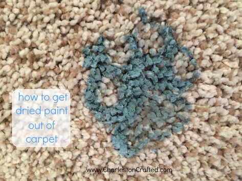 how to get dried paint out of carpet - charleston crafted Remove Paint From Carpet, Paint Out Of Carpet, Plastic Carpet, Carpet Diy, Dry Carpet Cleaning, Puppy Paw Prints, Deep Carpet Cleaning, Carpet Cleaning Solution, Carpet Cleaning Machines