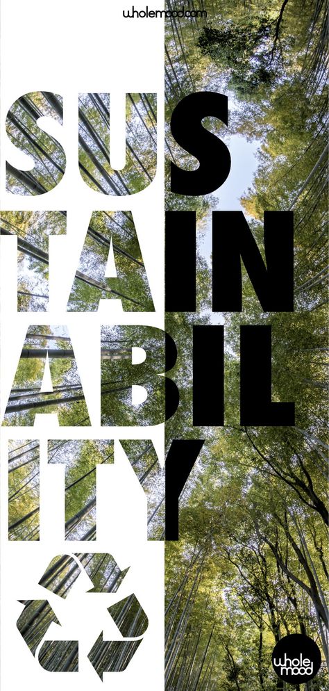 What is Sustainability? We hear the term everywhere, many brands and products claim to BE it, but what does it mean, why is it important and how can we be MORE sustainable? Get into the Whole Mood and join the conversation! #sustainability #sustainableliving #sustainabledesign #design #interiordesign  #upcycling #recycling #gogreen #reuse #repeat Sustainability Event Design, Waste Management Branding, Sustainable Magazine, Sustainable Graphics, Sustainability Graphic Design, Wellness Graphic Design, Sustainability Aesthetic, Sustainability Poster, Sustainable Graphic Design