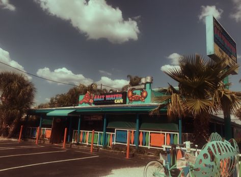 90s Florida Aesthetic, Small Town Florida Aesthetic, Rural Florida Aesthetic, Florida Childhood Aesthetic, Old Florida Aesthetic, Small Town Florida, Florida Nostalgia, Florida Gothic, 90s Snacks