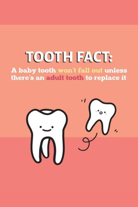 Intresting teeth facts #healthyteeth #whitesmile #oralcare #teethfacts Road Trip Kit, Dental Posts, Dental Facts, Dental Fun, Dental Marketing, Did You Know Facts, Pediatric Dentistry, Dental Hygiene, Healthy Teeth