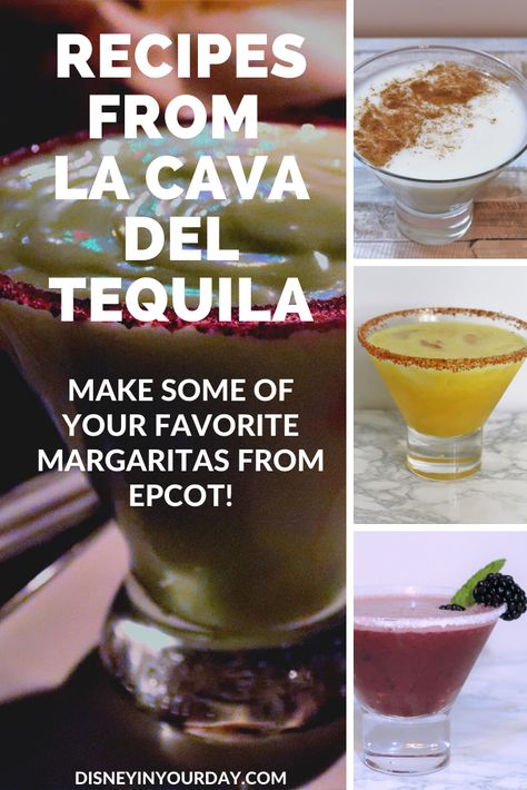 Margarita recipes from La Cava del Tequila! - Disney in your Day Horchata Margarita Recipe, Avocado Margarita, Passion Fruit Margarita, Cucumber Margarita, Fruit Margarita, Blood Orange Margarita, Pineapple Margarita, Tequila Margarita, Disney Recipes