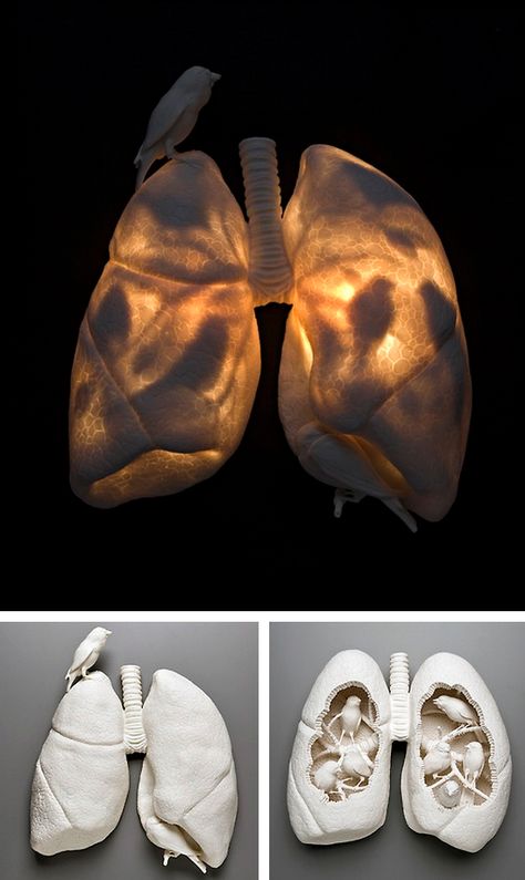 “Canaries”, Kate MacDowell (hand-built porcelain and florescent lights) 2008 Statue Of Liberty Book, Kate Macdowell, Ap Studio Art, Snow Angel, The Statue Of Liberty, 3d Studio, Ceramics Pottery Art, A Level Art, Ap Art