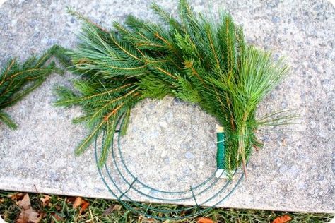 Making A Real Christmas Wreath, Real Pine Wreaths, Faux Evergreen Wreath, Evergreen Swag Diy, Christmas Wreath Instructions, Real Christmas Wreaths Diy, Diy Real Wreath, Pine Tree Wreath, Diy Real Wreath Christmas