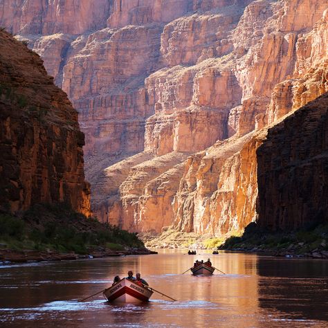 Grand Canyon Photography, Canyon River, River Trip, Us Road Trip, Whitewater Rafting, Colorado River, Grand Canyon National Park, Us National Parks, Beautiful Places Nature