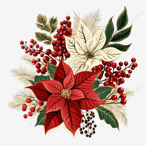 winter and christmas stylized decorative leaf designs of poinsettia holly berry spruce tree png Winter Plants Illustration, Christmas Plants Illustration, Christmas Flower Illustration, Christmas Foliage Illustration, Christmas Bouquet Ideas, Poinsettia Illustration, Holly Illustration, Christmas Png Images, Christmas Ball Ornaments Diy