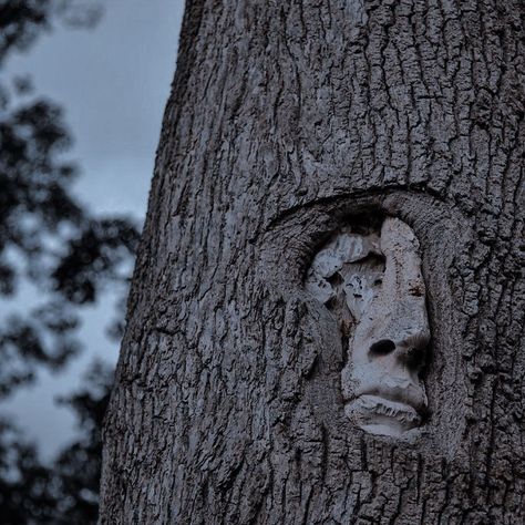 Medieval Woods Aesthetic, Druid Aesthetic Dark, Fae Wilds Aesthetic, Medieval Scottish Aesthetic, Scandinavian Folklore Aesthetic, Fae Aesthetic Dark, Dark Celtic Aesthetic, Wildling Aesthetic, Fae Realm Aesthetic