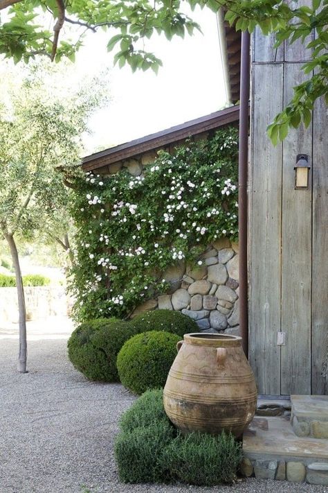 Pea Gravel Garden, Mediterranean Garden Design, Provence Garden, Garden Vines, Gravel Garden, Mediterranean Garden, Courtyard Garden, Garden Cottage, Shade Garden