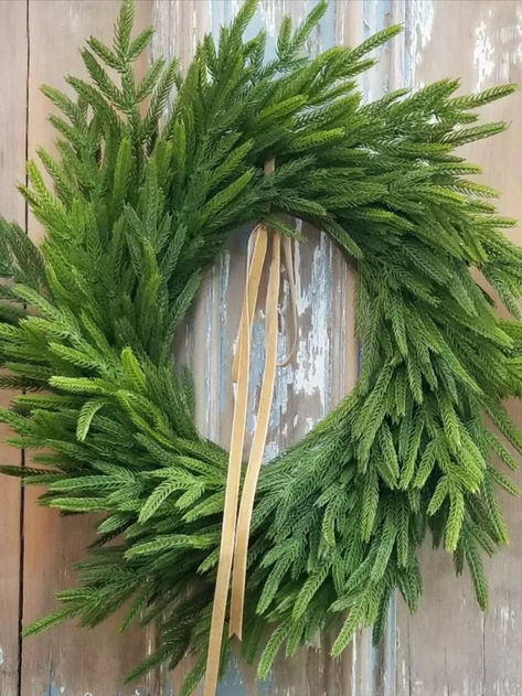 Gorgeous realistic rustic norfolk pine wreath...front door or cabinets? Norfolk Pine, Pine Wreath, Wreath Front Door, Farmhouse Christmas, Wreaths For Front Door, Norfolk, Front Door, Wreath, Free Delivery